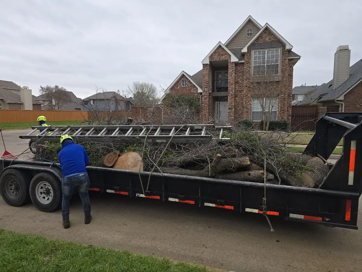 Expert Tree Removal with proper safety equipment in Port O Connor
